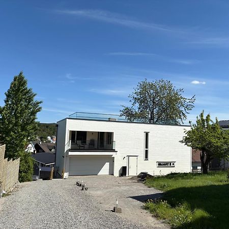 Temis Apartment, Private New 1 Bed Room And 1 Living Room With Sofa Bad And Lagre Kitchen, Share With Nobody Oslo Extérieur photo