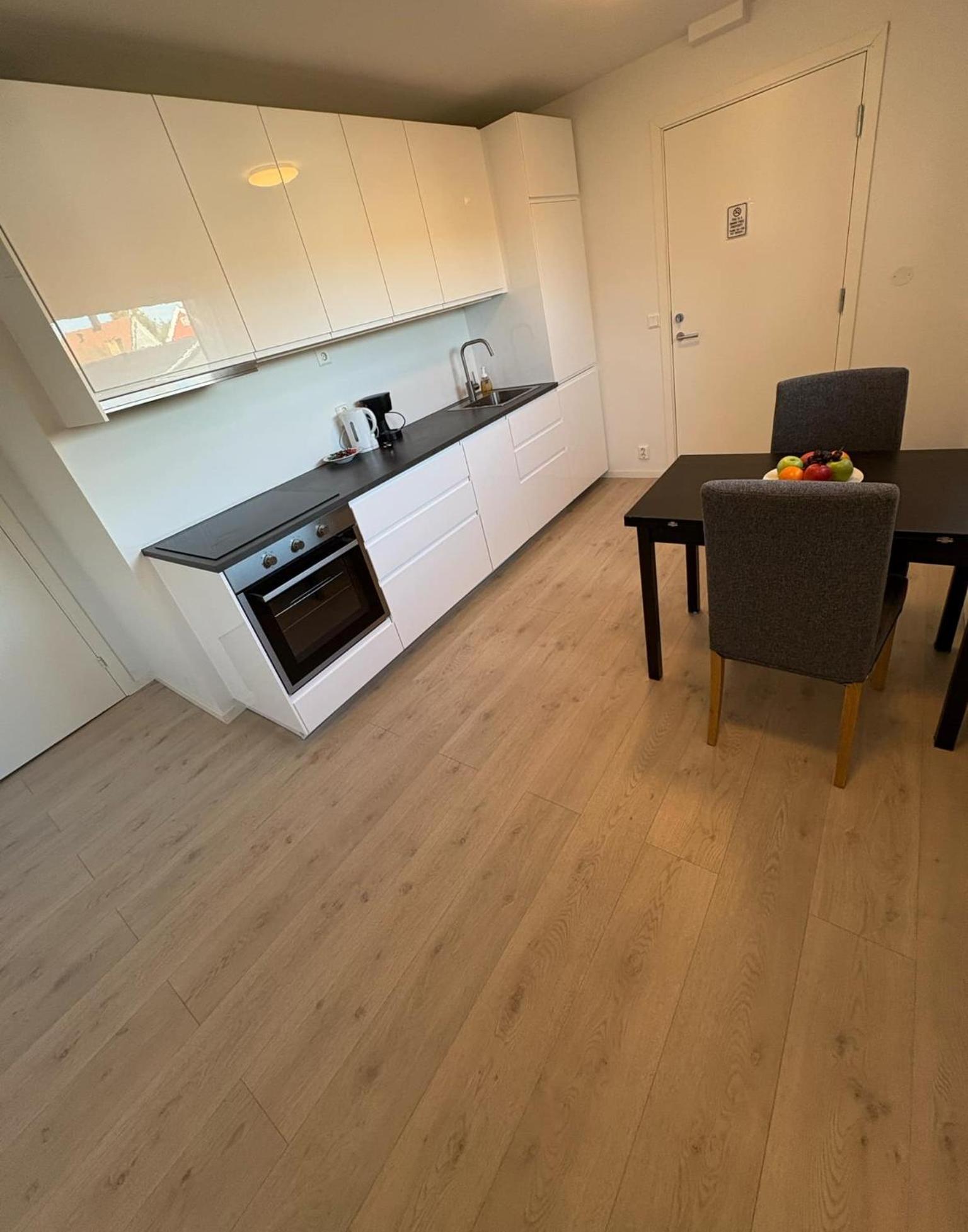 Temis Apartment, Private New 1 Bed Room And 1 Living Room With Sofa Bad And Lagre Kitchen, Share With Nobody Oslo Extérieur photo